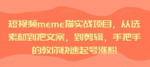 短视频meme猫实战项目，从选素材到把文案，到剪辑，手把手的教你快速起号涨粉-泰戈创艺资源库