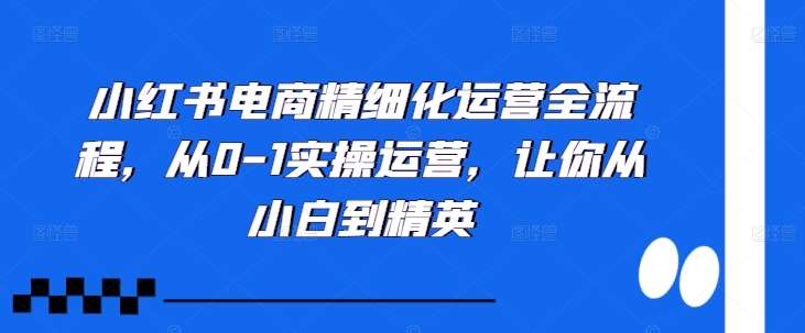 小红书电商精细化运营全流程，从0-1实操运营，让你从小白到精英-泰戈创艺资源库