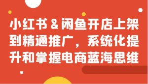 小红书&闲鱼开店上架到精通推广，系统化提升和掌握电商蓝海思维-泰戈创艺资源库