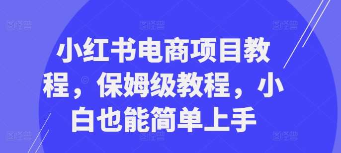 小红书电商项目教程，保姆级教程，小白也能简单上手-泰戈创艺资源库