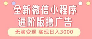 (13197期)全新微信小程序进阶版撸广告 无脑变现睡后也有收入 日入3000+-泰戈创艺资源库