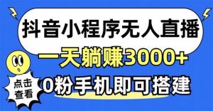 （12988期）抖音小程序无人直播，一天躺赚3000+，0粉手机可搭建，不违规不限流，小…-泰戈创艺资源库