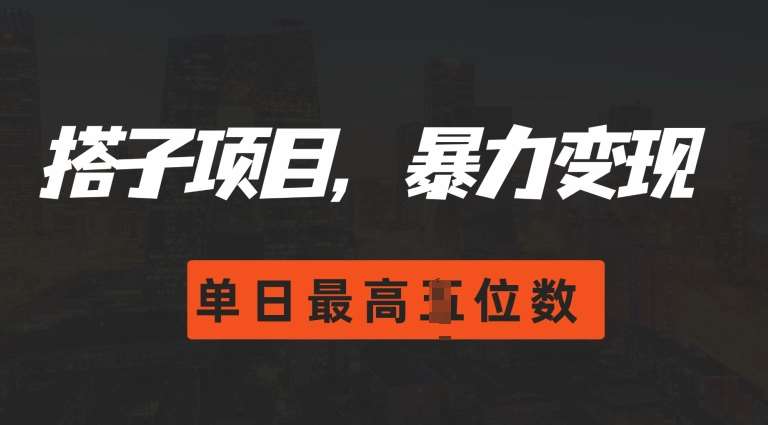 2024搭子玩法，0门槛，暴力变现，单日最高破四位数【揭秘】-泰戈创艺资源库