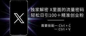 独家解密 X 里面的流量密码，复制粘贴轻松日引100+粉，精准迅速获客-泰戈创艺资源库