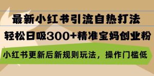 (13145期)最新小红书引流自热打法,轻松日吸300+精准宝妈创业粉,小红书更新后新…-泰戈创艺资源库