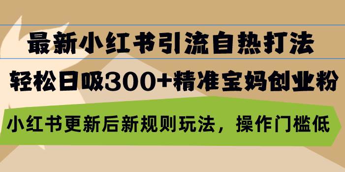 （13145期）最新小红书引流自热打法，轻松日吸300+精准宝妈创业粉，小红书更新后新…-泰戈创艺资源库