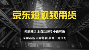 京东短视频达人带货，无脑搬运，无需选品，矩阵操作，单号一周过万-泰戈创艺资源库