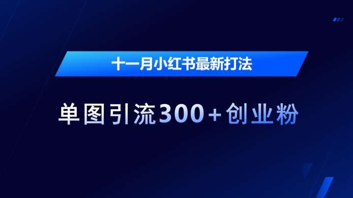 十一月小红书最新打法，单图引流300+创业粉【揭秘】-泰戈创艺资源库