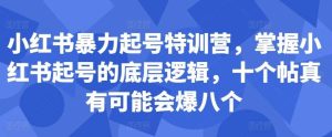 小红书暴力起号特训营，掌握小红书起号的底层逻辑，十个帖真有可能会爆八个-泰戈创艺资源库