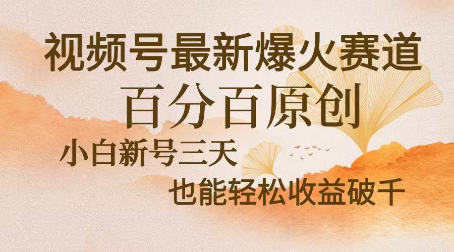 (13225期)视频号最新爆火赛道,中老年粉深信不疑,百分百原创,新号三天收益轻松…-泰戈创艺资源库