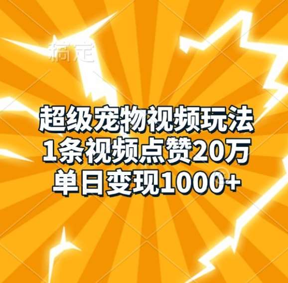 超级宠物视频玩法，1条视频点赞20万，单日变现1k-泰戈创艺资源库