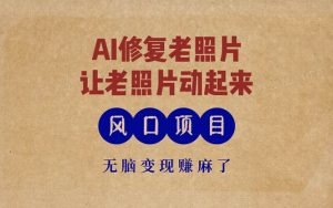 (13296期)最新风口项目,AI一键修复老照片,让老照片动起来,接单到手软,无脑变…-泰戈创艺资源库