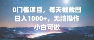 (13160期)0门槛项目,每天截截图,日入1000+,轻松无脑,小白可做-泰戈创艺资源库