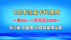 (13391期)免费流量卡代理一单80+ 一天可达2000+-泰戈创艺资源库