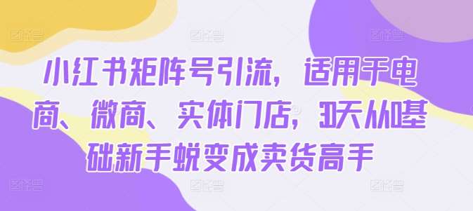 小红书矩阵号引流，适用于电商、微商、实体门店，30天从0基础新手蜕变成卖货高手-泰戈创艺资源库