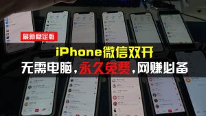 （13487期）iPhone微信双开无需电脑永久免费，适用所有iPhone手机-泰戈创艺资源库