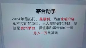魔法贵州茅台代理，抛开传统玩法，使用科技命中率极高，单瓶利润1000+-泰戈创艺资源库