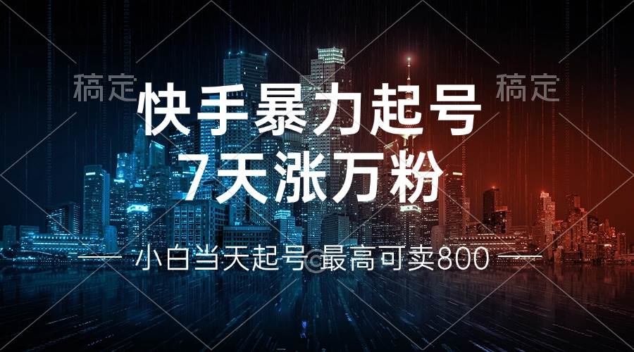 （13142期）快手暴力起号，7天涨万粉，小白当天起号 多种变现方式，账号回收，单月…-泰戈创艺资源库