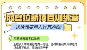 网盘拉新训练营3.0;零成本公域推广大作战,送给想要月入过万的你-泰戈创艺资源库