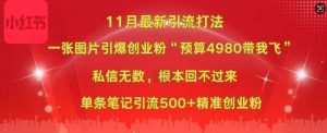小红书11月最新图片打粉,一张图片引爆创业粉,“预算4980带我飞”,单条引流500+精准创业粉-泰戈创艺资源库
