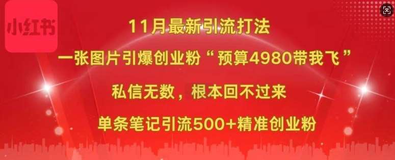 小红书11月最新图片打粉，一张图片引爆创业粉，“预算4980带我飞”，单条引流500+精准创业粉-泰戈创艺资源库