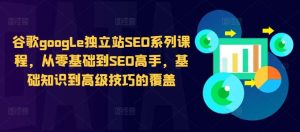 谷歌google独立站SEO系列课程,从零基础到SEO高手,基础知识到高级技巧的覆盖-泰戈创艺资源库