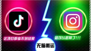 （13064期）抖音无脑搬运，如果这项目都拿不到结果，你可以退网了-泰戈创艺资源库