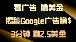 (13114期)看广告,撸美金!3分钟赚2.5美金!日入200美金不是梦!揭秘Google广告…-泰戈创艺资源库