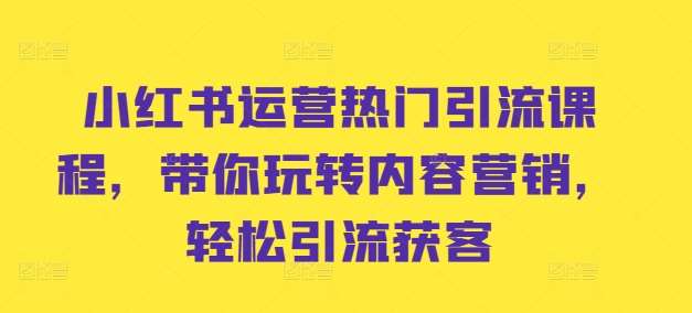 小红书运营热门引流课程，带你玩转内容营销，轻松引流获客-泰戈创艺资源库