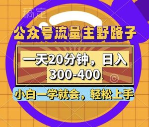 (12866期)公众号流量主野路子玩法,一天20分钟,日入300~400,小白一学就会-泰戈创艺资源库