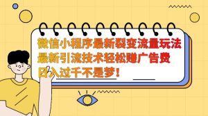 微信小程序最新裂变流量玩法，时间自由收益高轻松赚广告费，日入过千不是梦！-泰戈创艺资源库