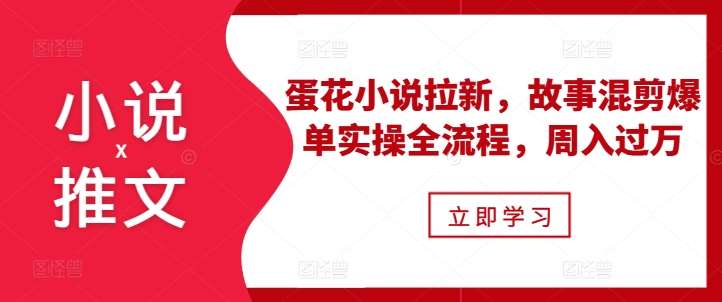 小说推文之蛋花小说拉新，故事混剪爆单实操全流程，周入过万-泰戈创艺资源库