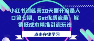 小红书训练营28天撕开流量入口第七期,Get优质流量,解锁低成本精准引流玩法-泰戈创艺资源库