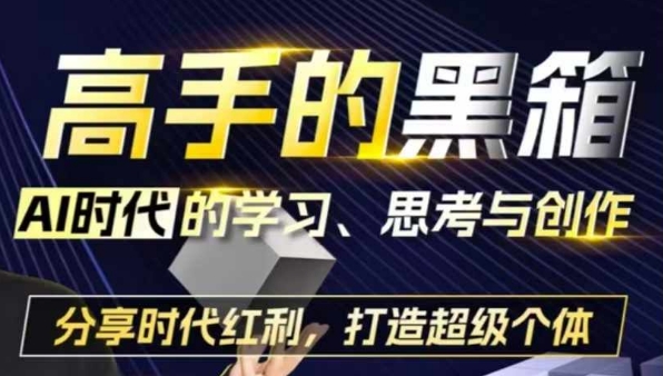 高手的黑箱：AI时代学习、思考与创作-分红时代红利，打造超级个体-泰戈创艺资源库