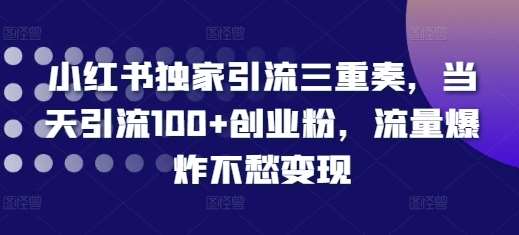 小红书独家引流三重奏，当天引流100+创业粉，流量爆炸不愁变现【揭秘】-泰戈创艺资源库