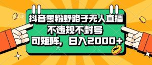 (13336期)抖音零粉野路子无人直播,不违规不封号,可矩阵,日入2000+-泰戈创艺资源库
