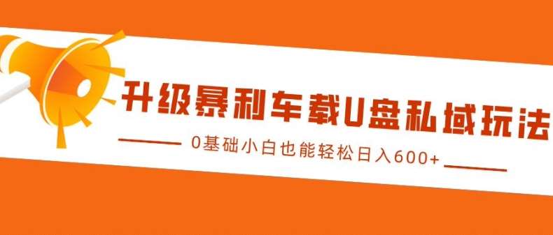升级暴利车载U盘私域玩法，0基础小白也能轻松日入多张【揭秘】-泰戈创艺资源库