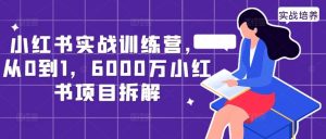 小红书实战训练营，从0到1，6000万小红书项目拆解-泰戈创艺资源库