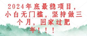 (12970期)2024年底最稳项目,小白无门槛,坚持做三个月,回家过肥年!!!-泰戈创艺资源库