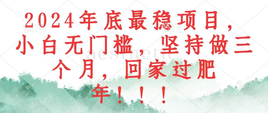 （12970期）2024年底最稳项目，小白无门槛，坚持做三个月，回家过肥年！！！-泰戈创艺资源库