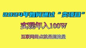 （13419期）2024年如何通过“卖项目”赚取100W：最值得尝试的盈利模式-泰戈创艺资源库
