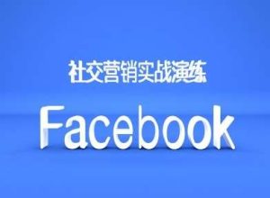 Facebook社交营销实战演练，外贸人绝对不能错过的营销推广平台-泰戈创艺资源库