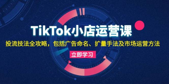 （13063期）TikTok小店运营课：投流技法全攻略，包括广告命名 扩量手法及市场运营方法-泰戈创艺资源库