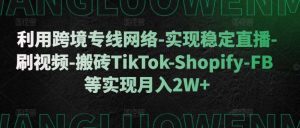 利用跨境专线网络-实现稳定直播-刷视频-搬砖TikTok-Shopify-FB等实现月入2W+【揭秘】-泰戈创艺资源库