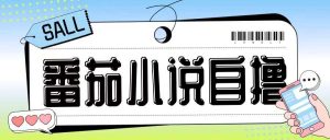 最新番茄小说自撸玩法，无需手机，无需双清，成本极低日入200+【揭秘】-泰戈创艺资源库