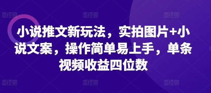 小说推文新玩法，实拍图片+小说文案，操作简单易上手，单条视频收益四位数-泰戈创艺资源库