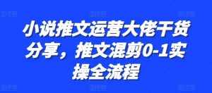 小说推文运营大佬干货分享,推文混剪0-1实操全流程-泰戈创艺资源库