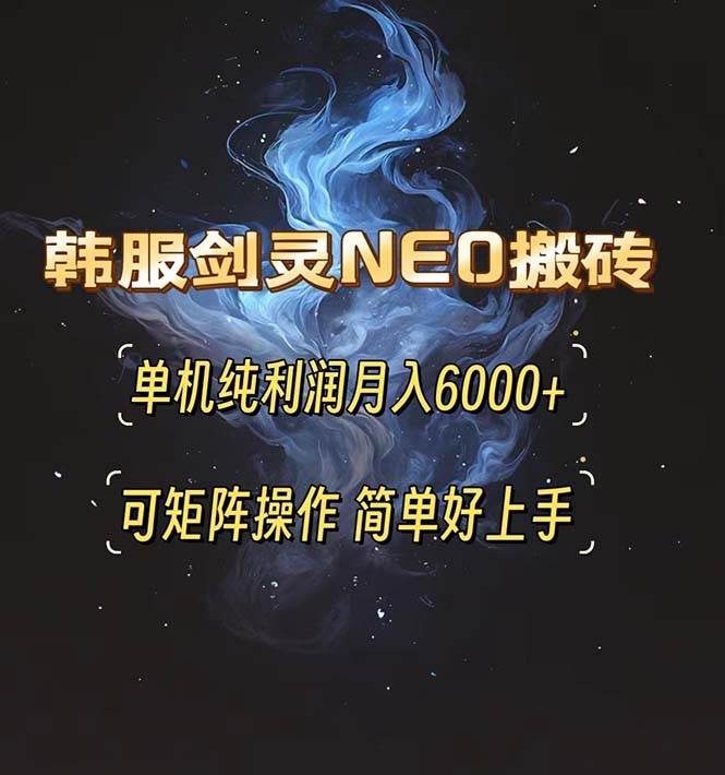 （13435期）韩服剑灵NEO搬砖攻略，单机纯利润月入6000+ 可矩阵操作，简单好上手。-泰戈创艺资源库