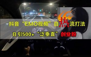 抖音EMO视频自热打法，日引500+“泛垂直”创业粉-泰戈创艺资源库