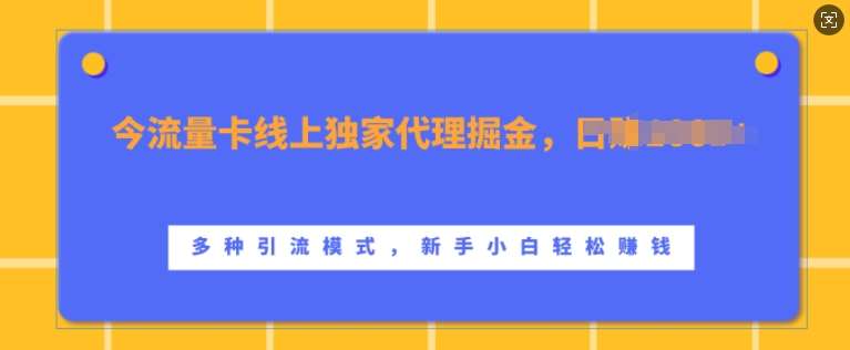 流量卡线上独家代理掘金，日入1k+ ，多种引流模式，新手小白轻松上手【揭秘】-泰戈创艺资源库